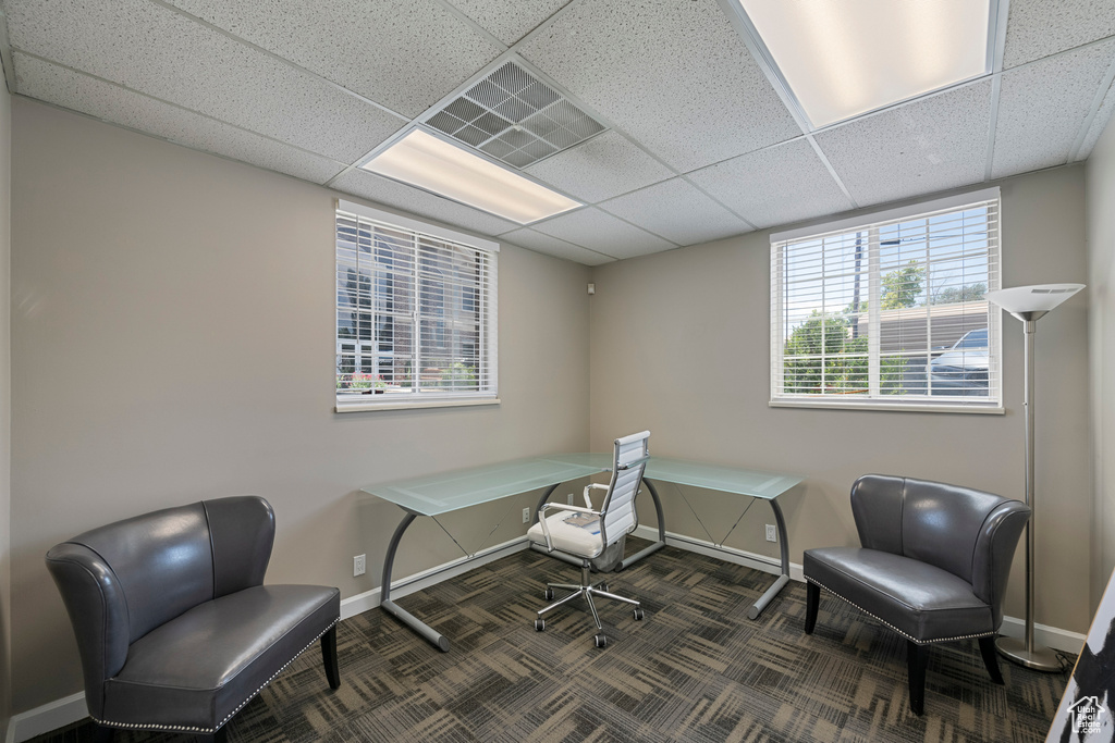 Carpeted office with baseboards and a drop ceiling