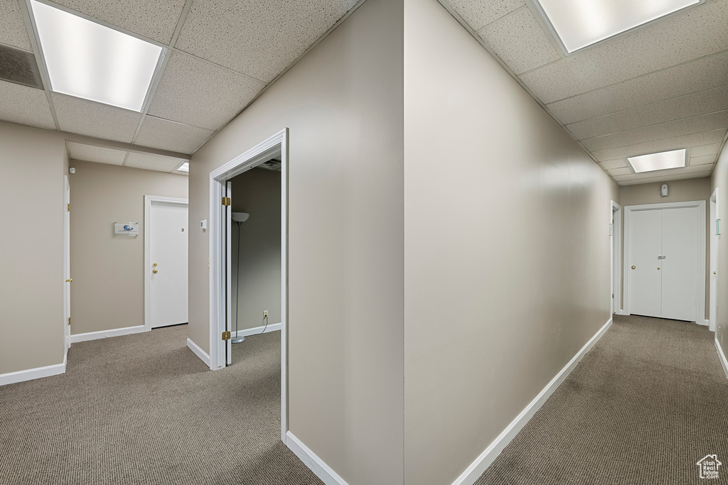 Hall with a drop ceiling, carpet, and baseboards