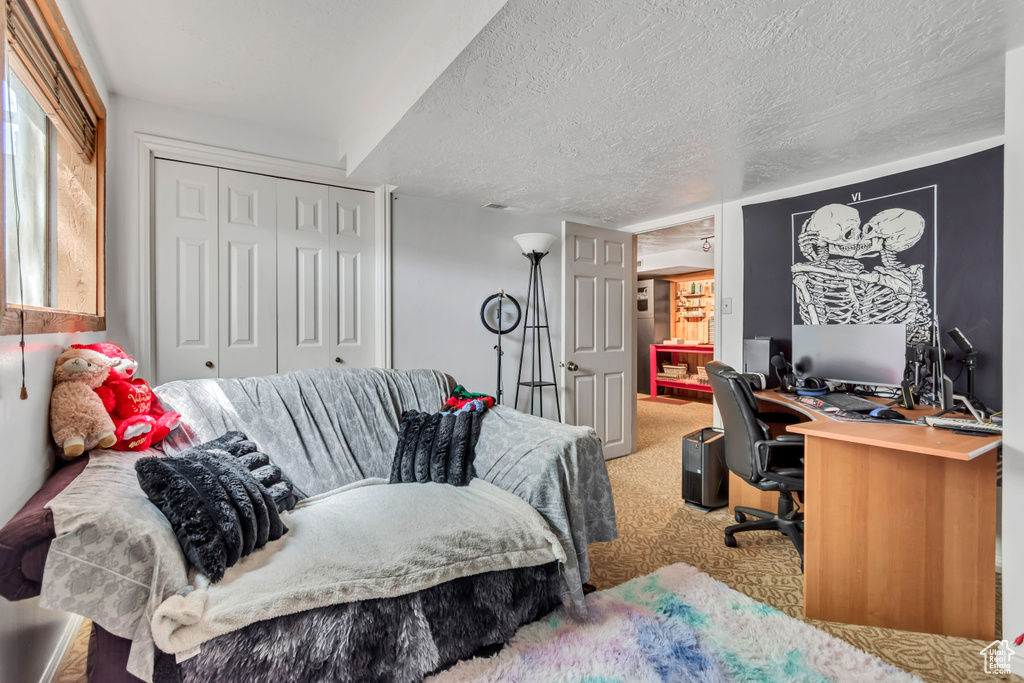 Office featuring carpet and a textured ceiling