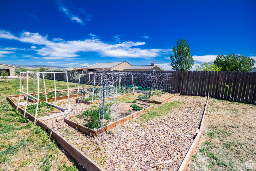 View of yard featuring a vegetable garden