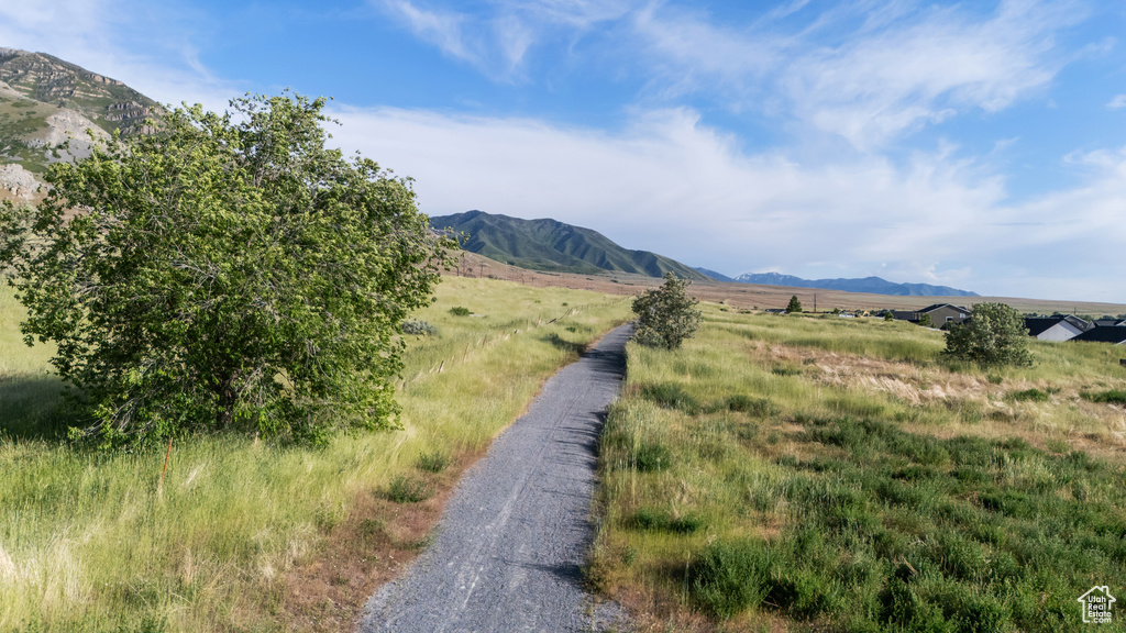 View of mountain background