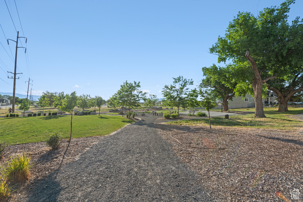 View of property\'s community with a yard