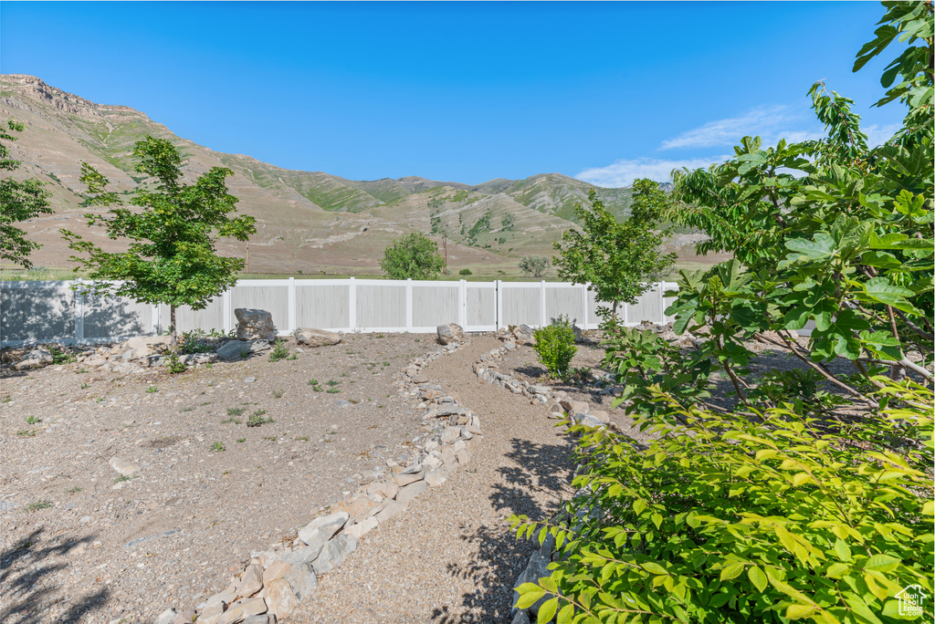 Fenced backyard with a mountain view