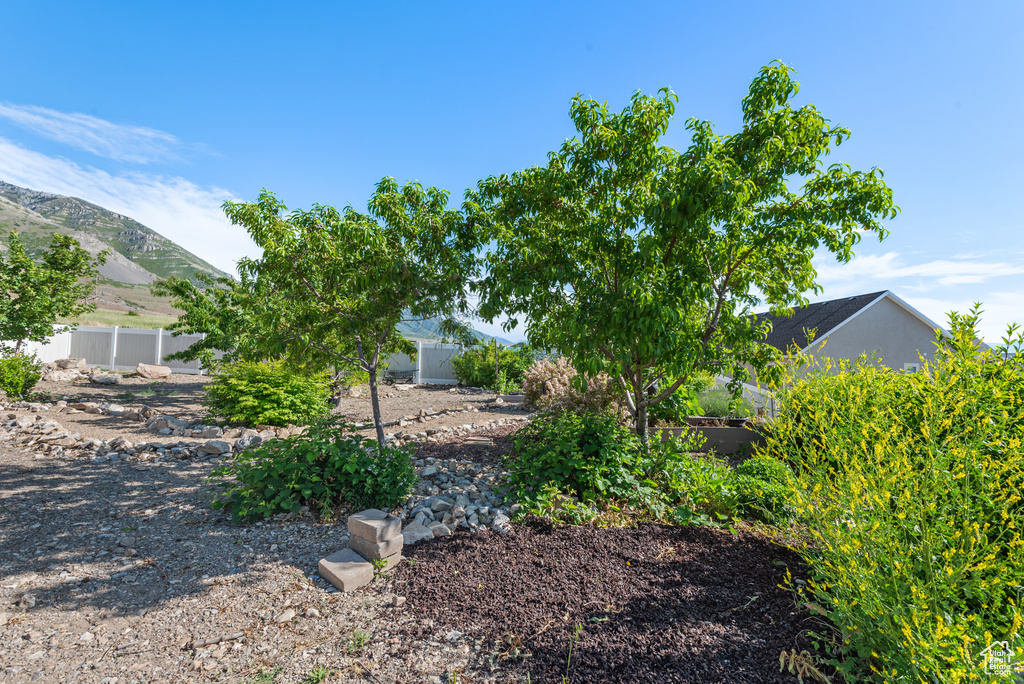 View of yard with a mountain view