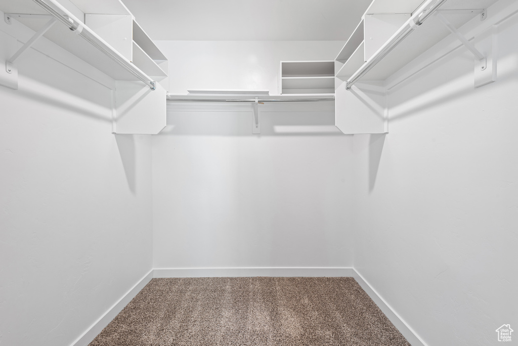 Spacious closet with carpet