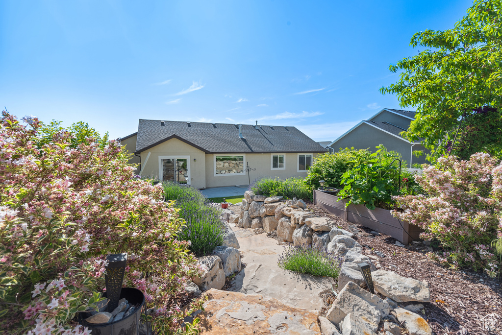 Rear view of house featuring a patio area and a shingled roof