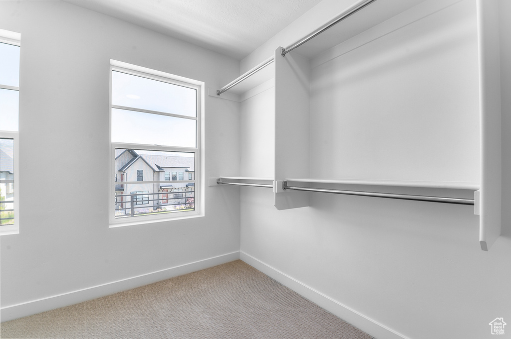 Walk in closet featuring carpet flooring