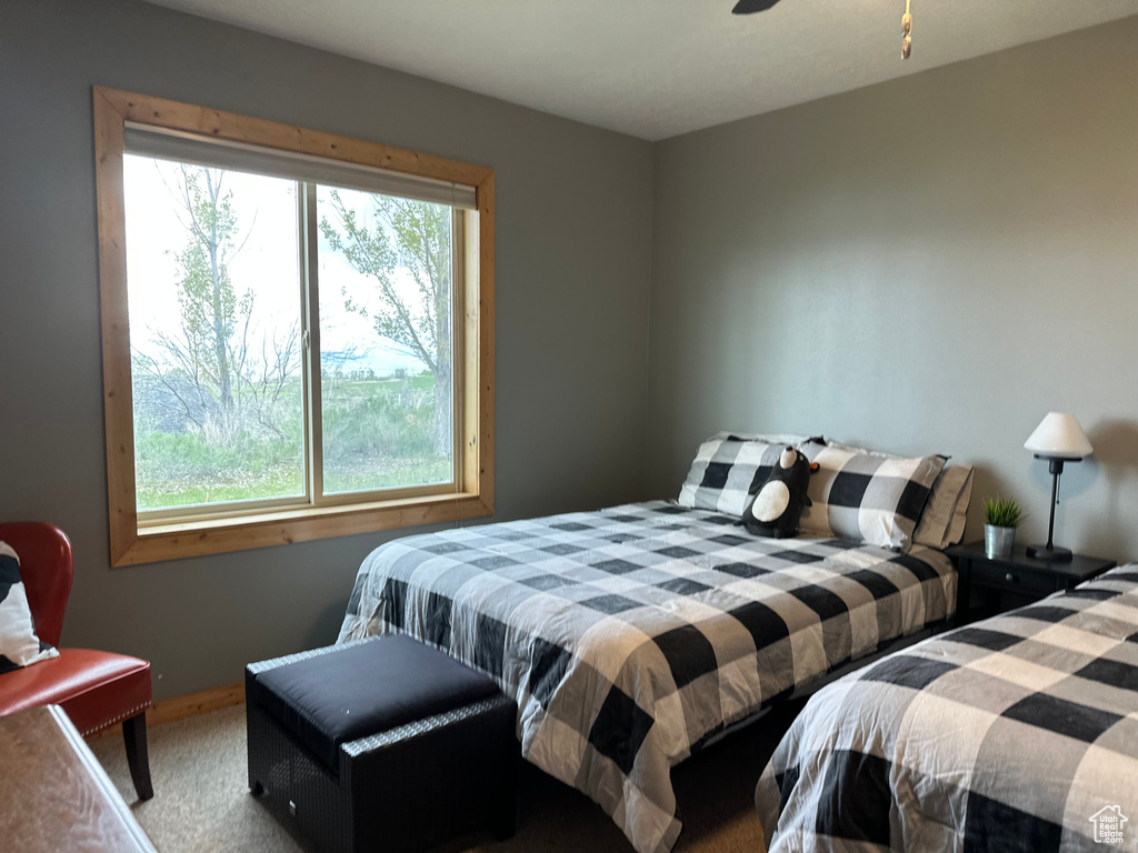 Bedroom with multiple windows and carpet