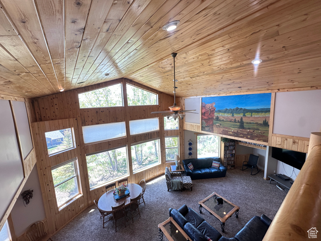 Living area with wood ceiling, carpet floors, wood walls, a ceiling fan, and healthy amount of natural light