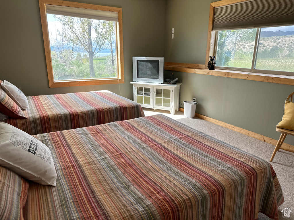 Bedroom featuring carpet flooring, multiple windows, and baseboards