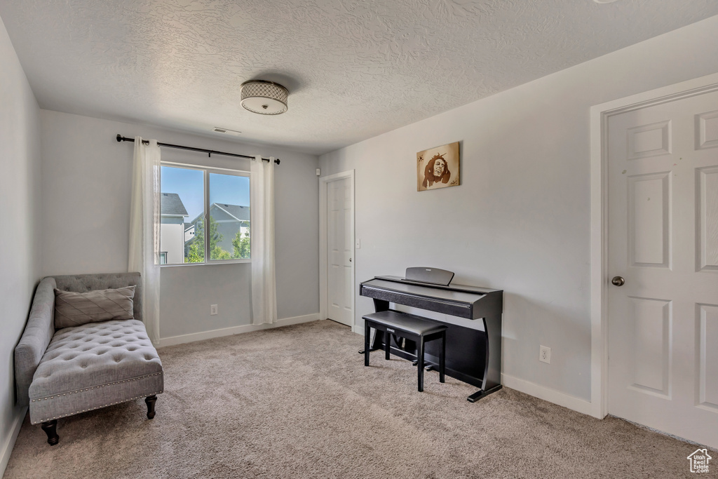 Sitting room with carpet floors, a textured ceiling, and baseboards