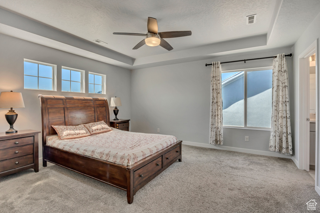 Bedroom with a tray ceiling, carpet flooring, multiple windows, a textured ceiling, and baseboards