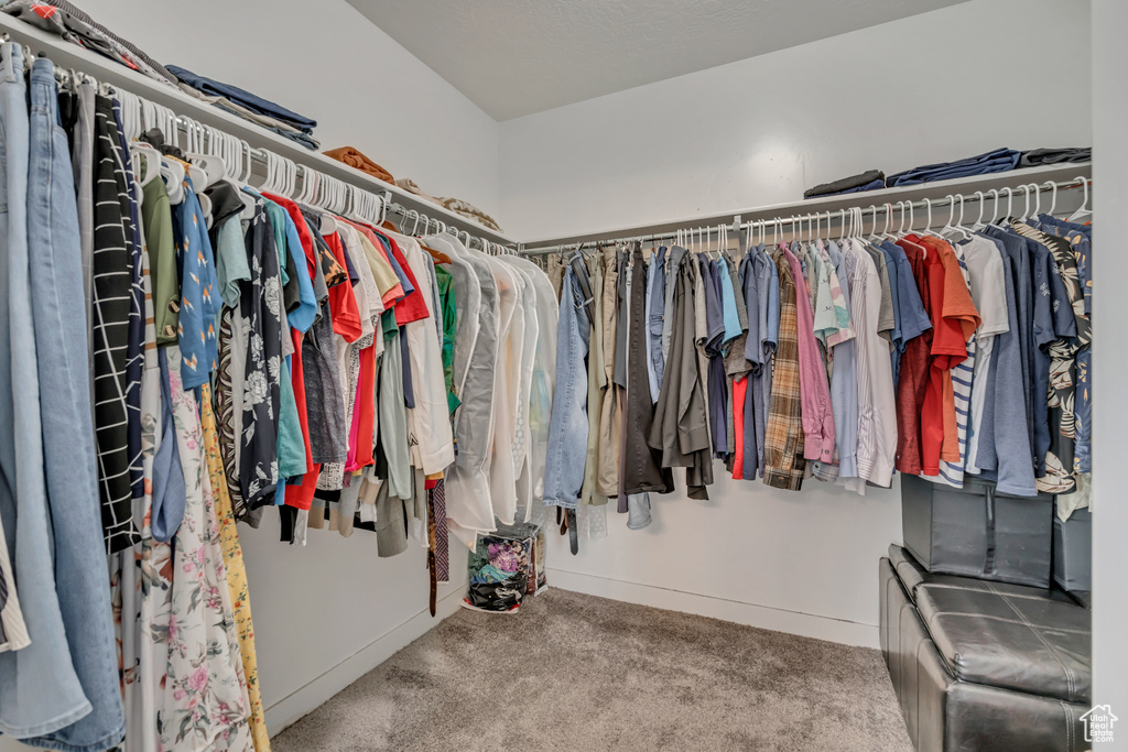 Walk in closet with carpet floors