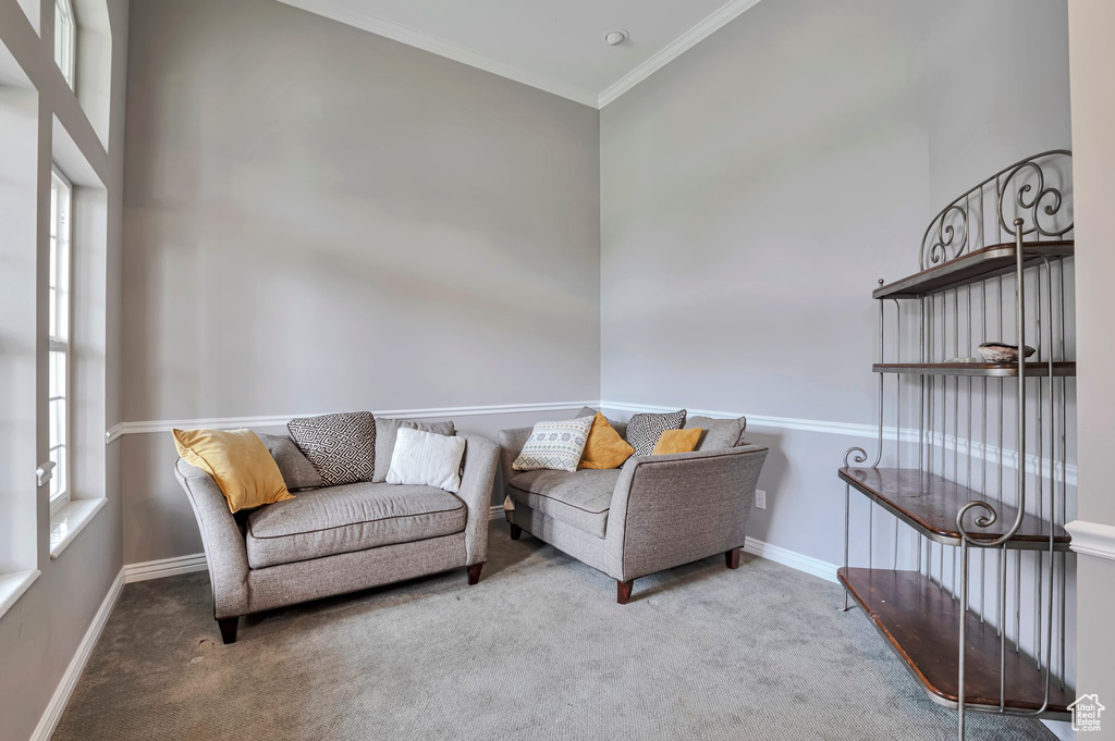 Sitting room with carpet, ornamental molding, and baseboards