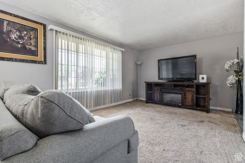 Living area with a textured ceiling, baseboards, and carpet flooring