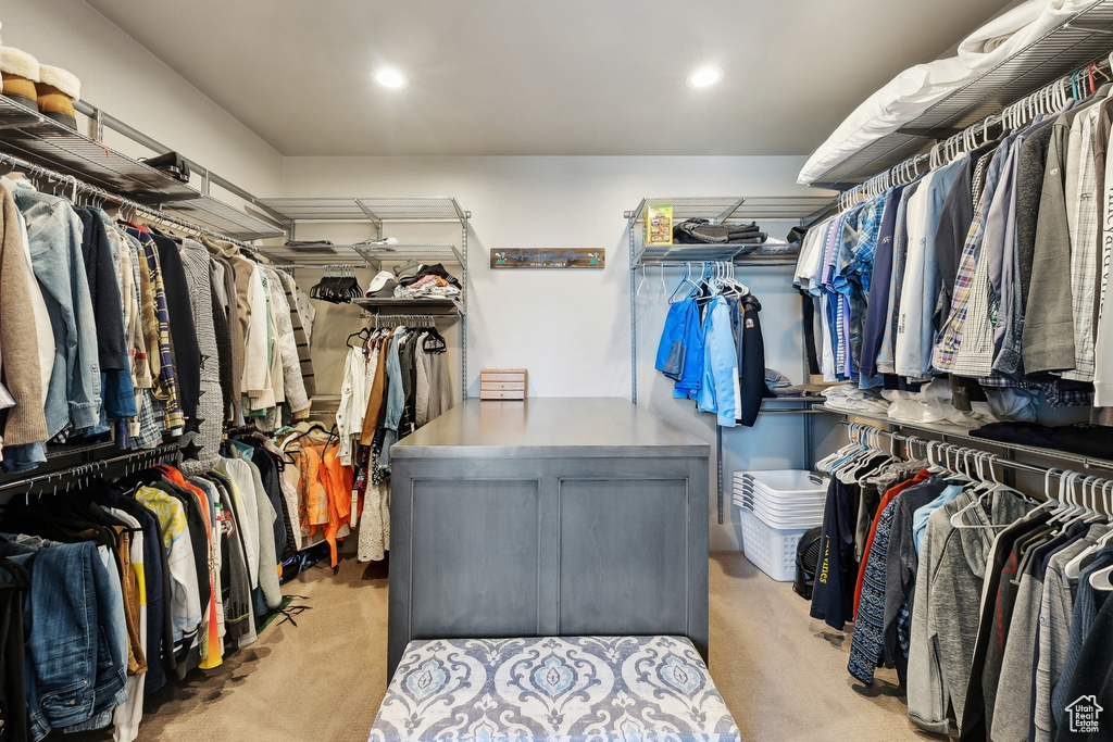 Spacious closet featuring light colored carpet