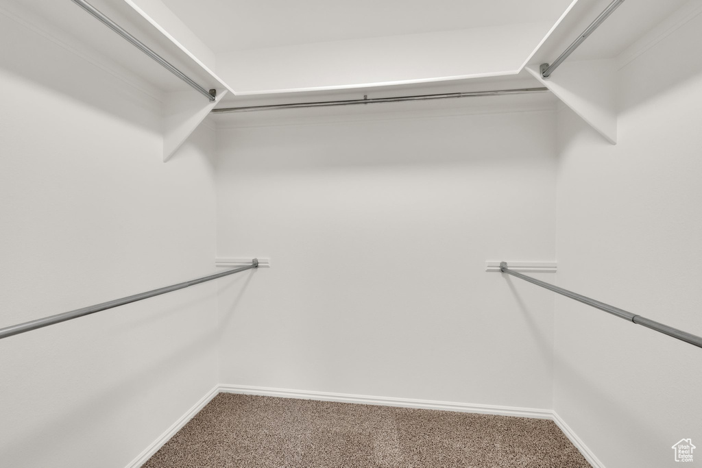 Walk in closet featuring carpet