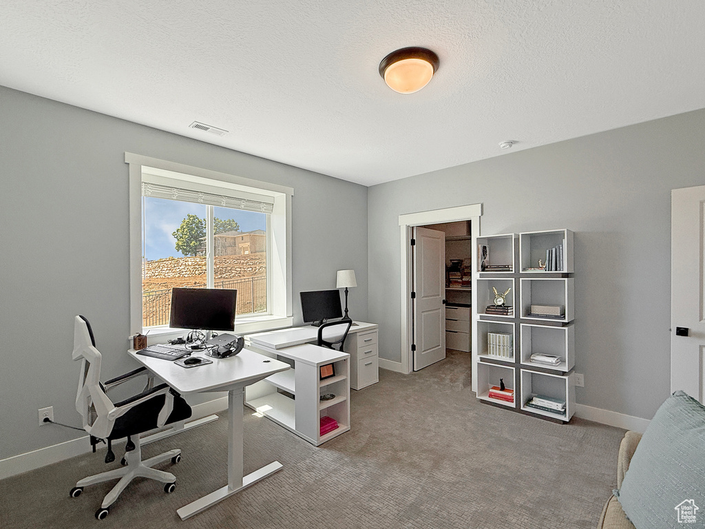 Office area with light colored carpet and baseboards