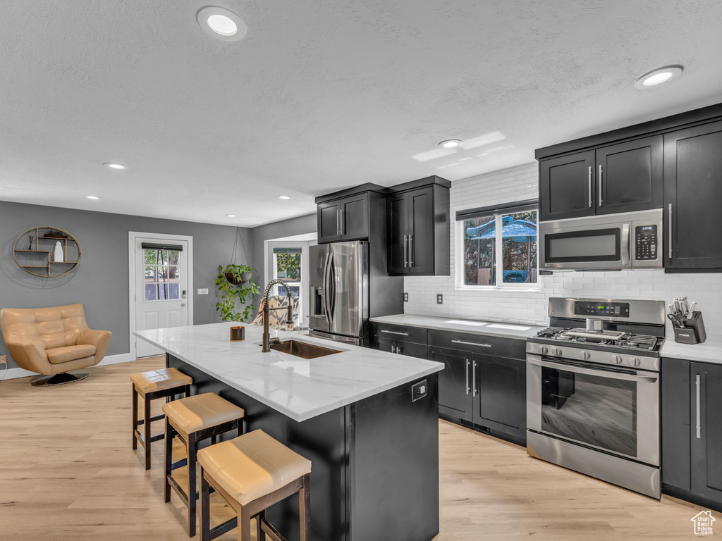Kitchen featuring appliances with stainless steel finishes, a sink, dark cabinetry, tasteful backsplash, and light wood-style floors