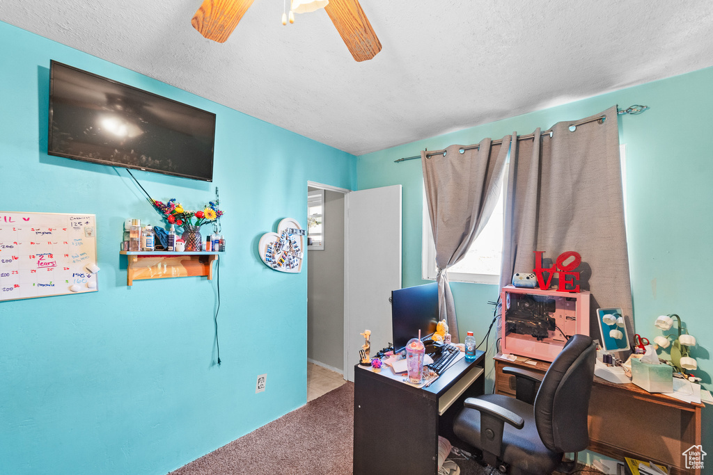 Carpeted office space with a ceiling fan and a textured ceiling