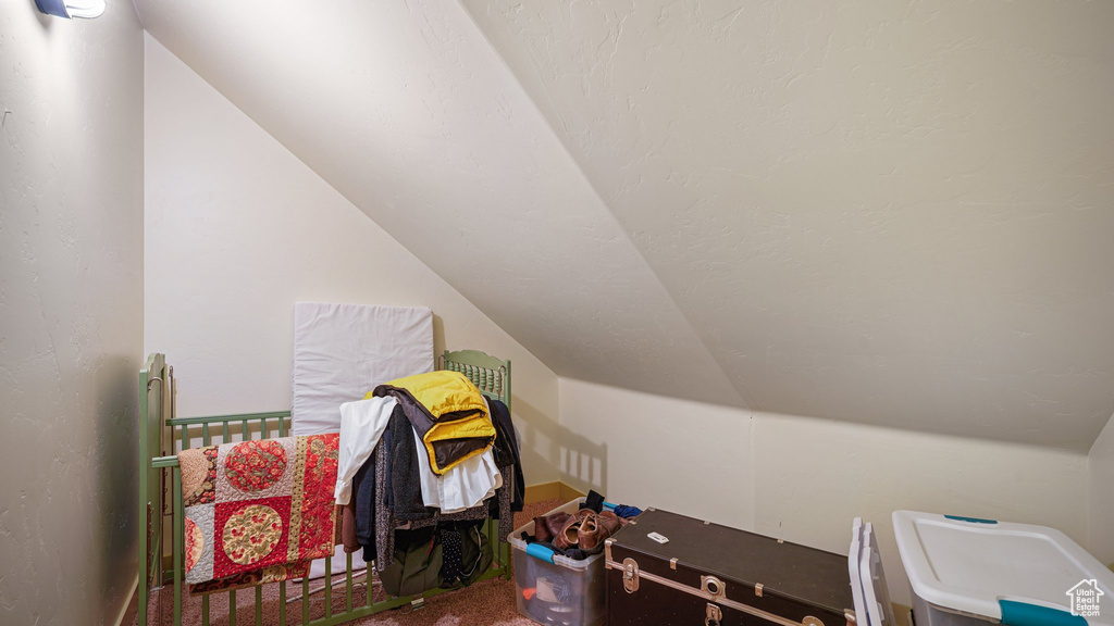 Additional living space featuring carpet and vaulted ceiling