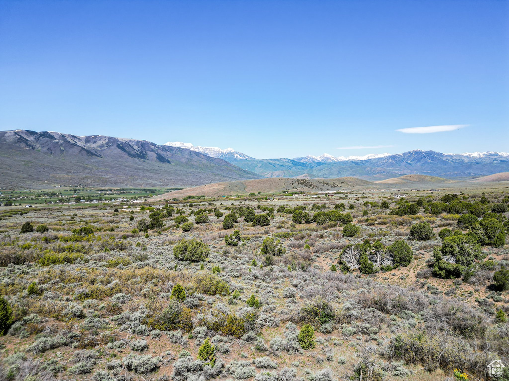 Mountain view
