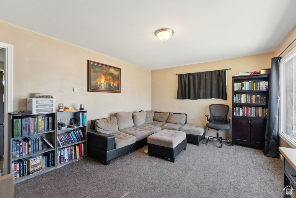 Living area with carpet
