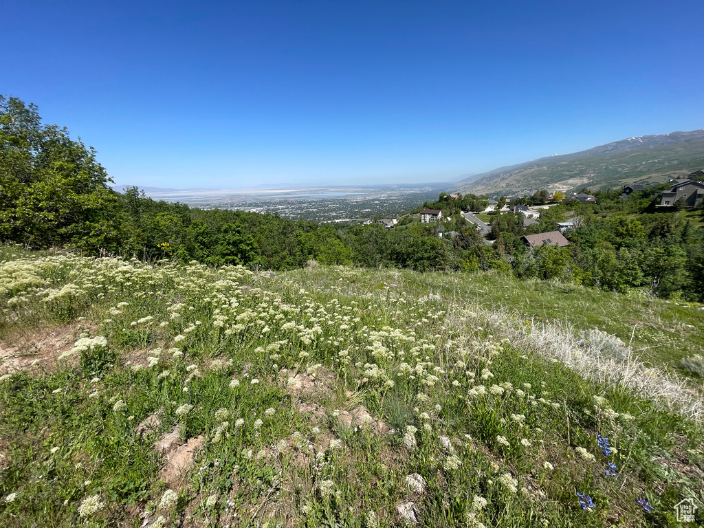 View of mountain background