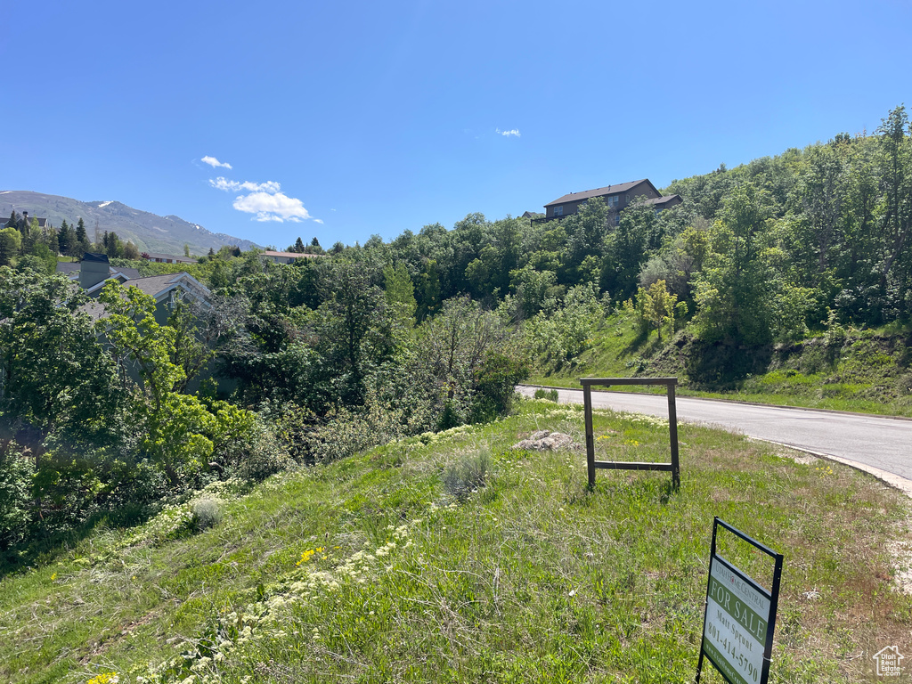 View of mountain backdrop