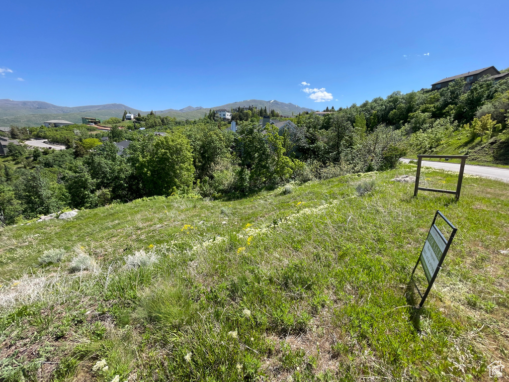 View of mountain background