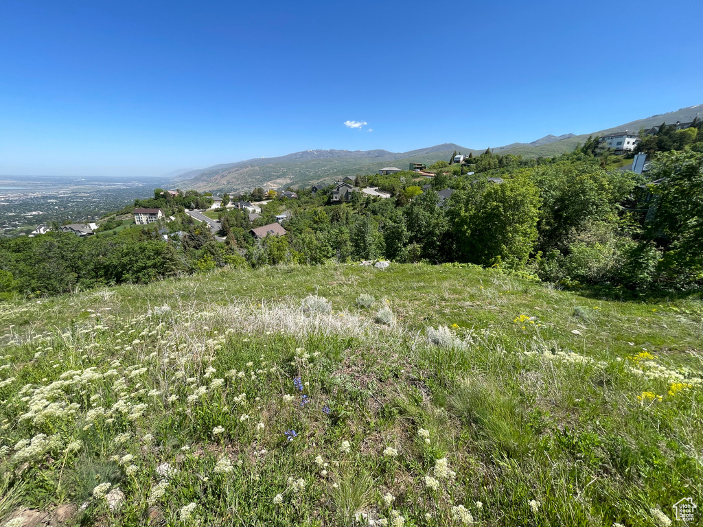 View of mountain backdrop