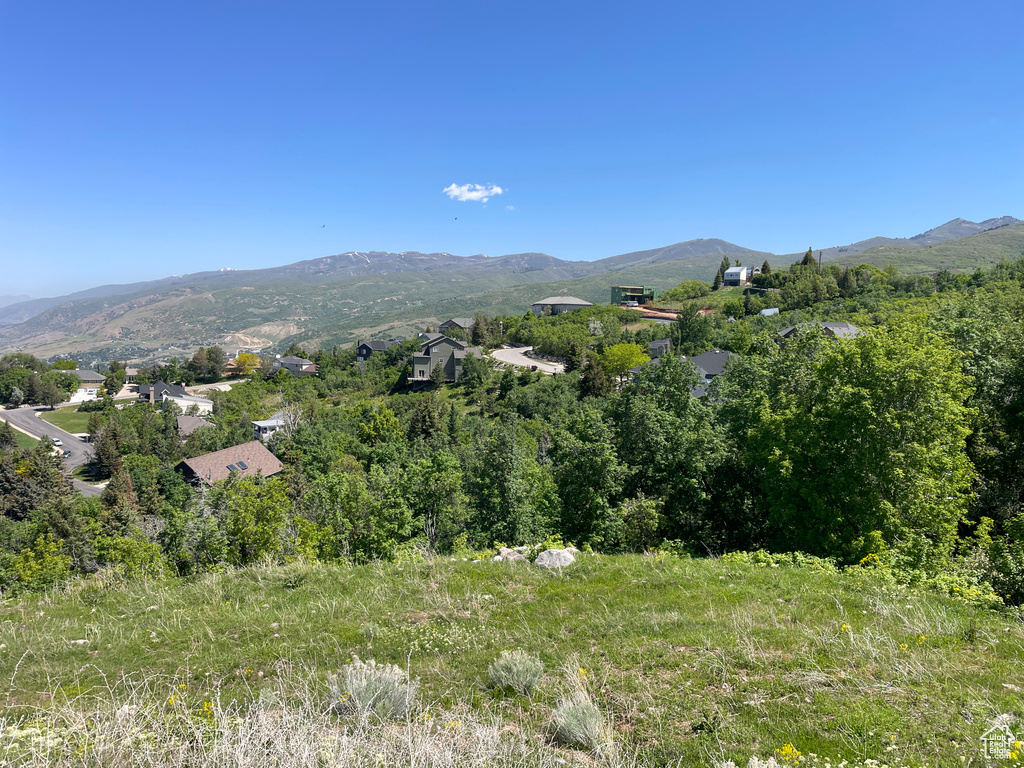 Mountain view