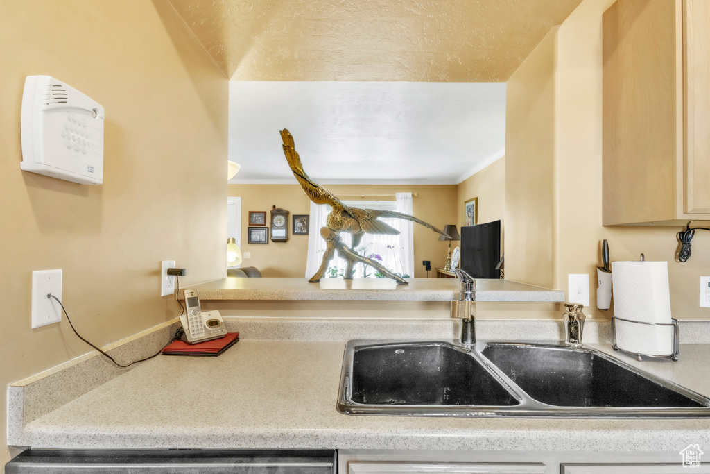 Kitchen with a sink, crown molding, and light countertops