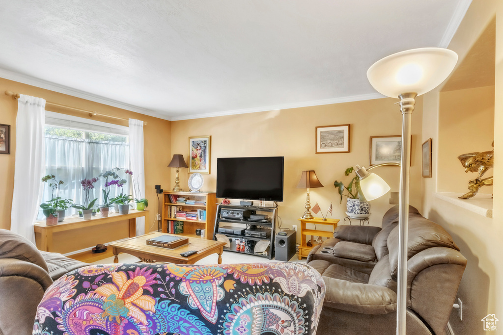 Living area with ornamental molding