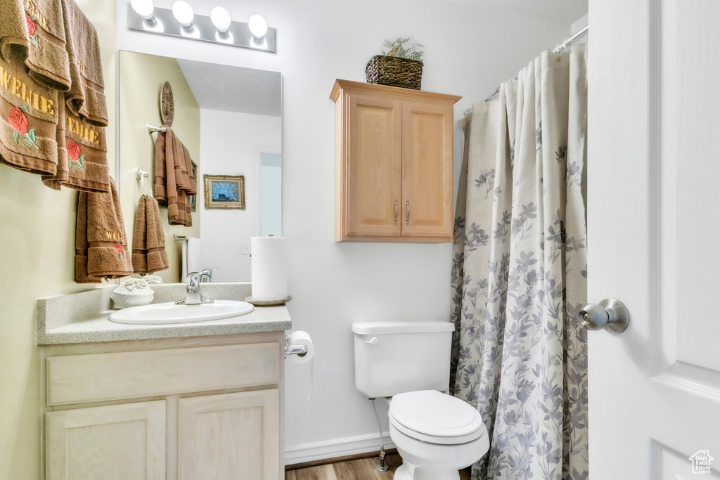 Full bathroom featuring vanity, toilet, and a shower with shower curtain
