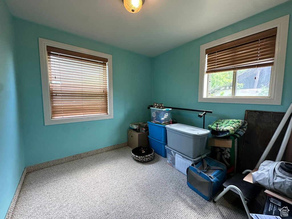 Misc room featuring carpet and baseboards