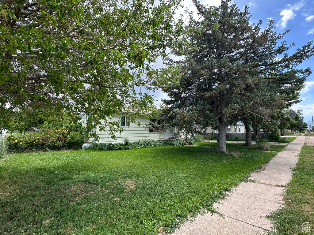 View of green lawn
