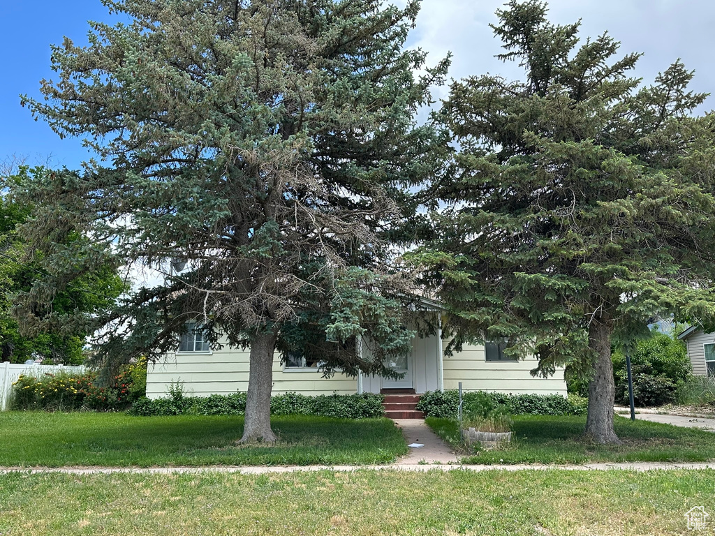 View of property hidden behind natural elements with a front lawn