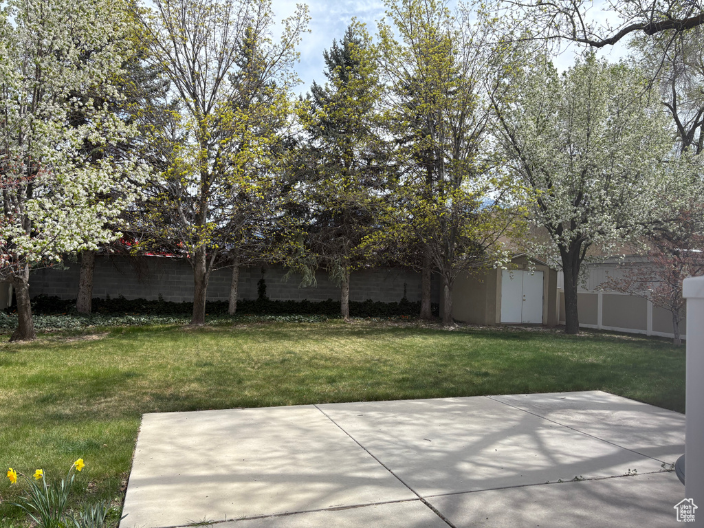 View of yard featuring a patio area