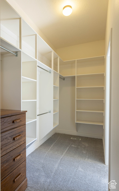 Walk in closet featuring carpet floors
