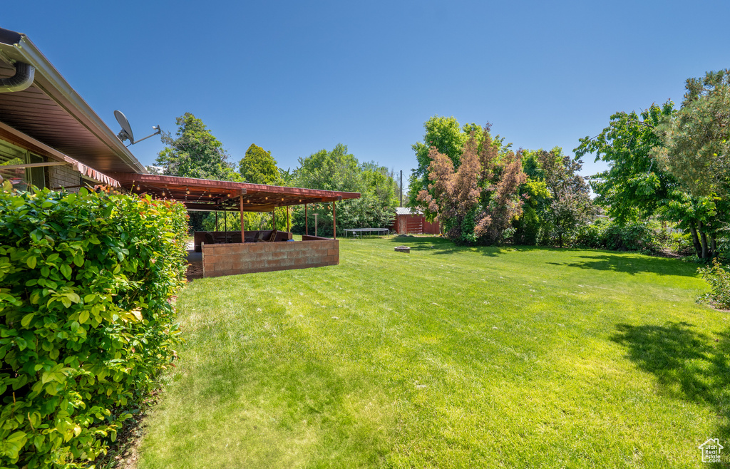 View of green lawn
