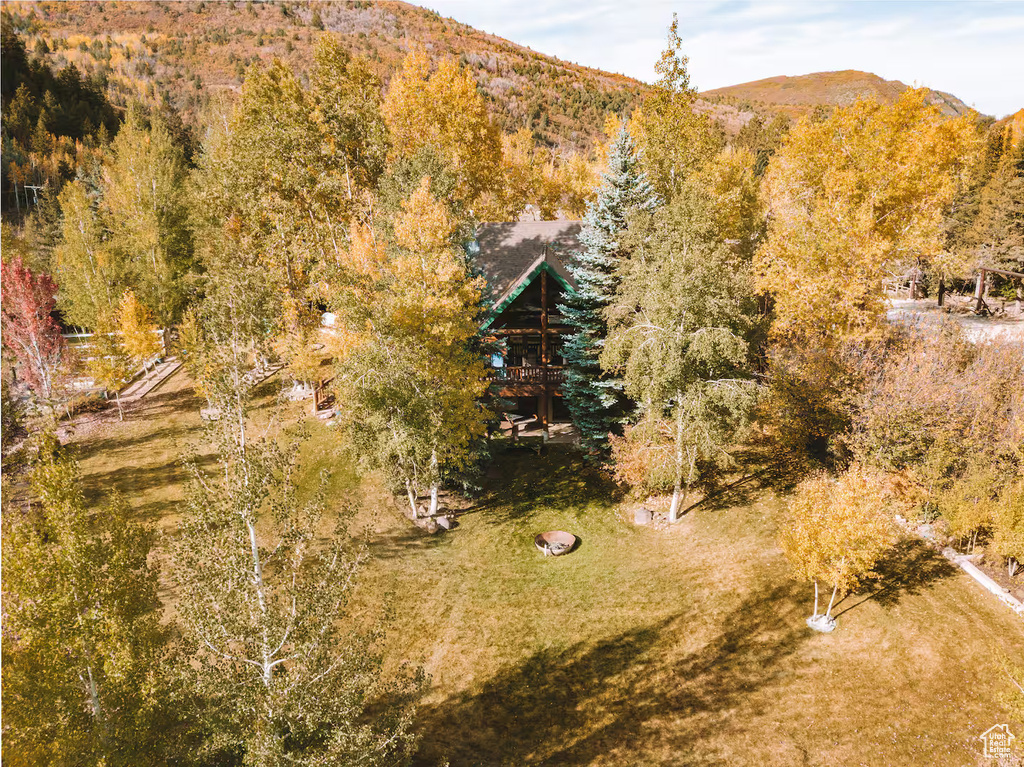 Aerial view of a mountainous background