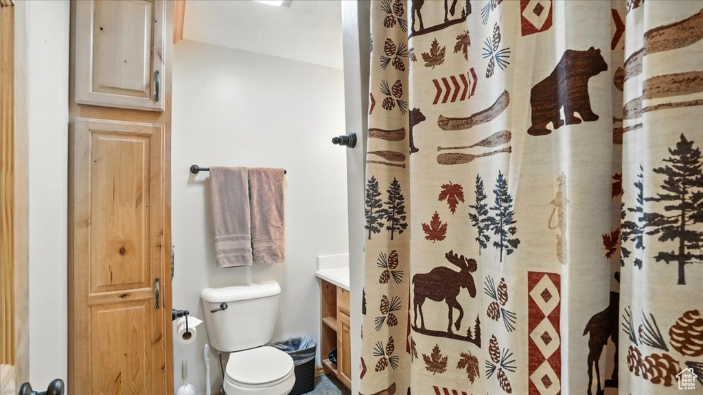 Bathroom with toilet, vanity, and curtained shower