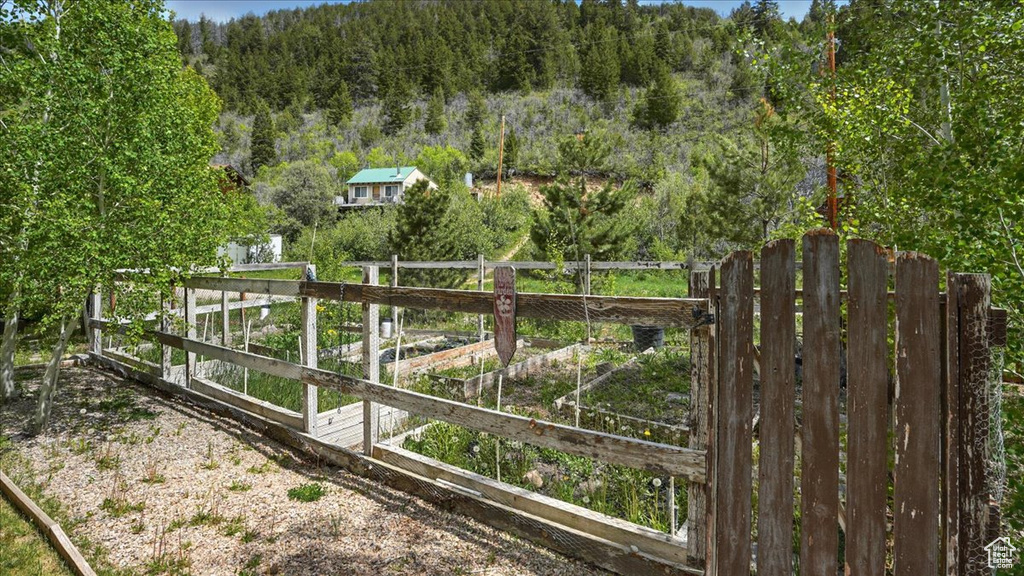 View of yard with a view of trees and a vegetable garden