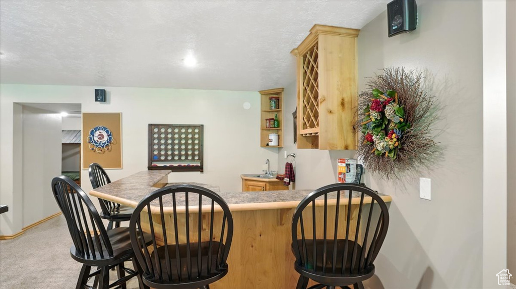 Indoor wet bar with carpet flooring and baseboards
