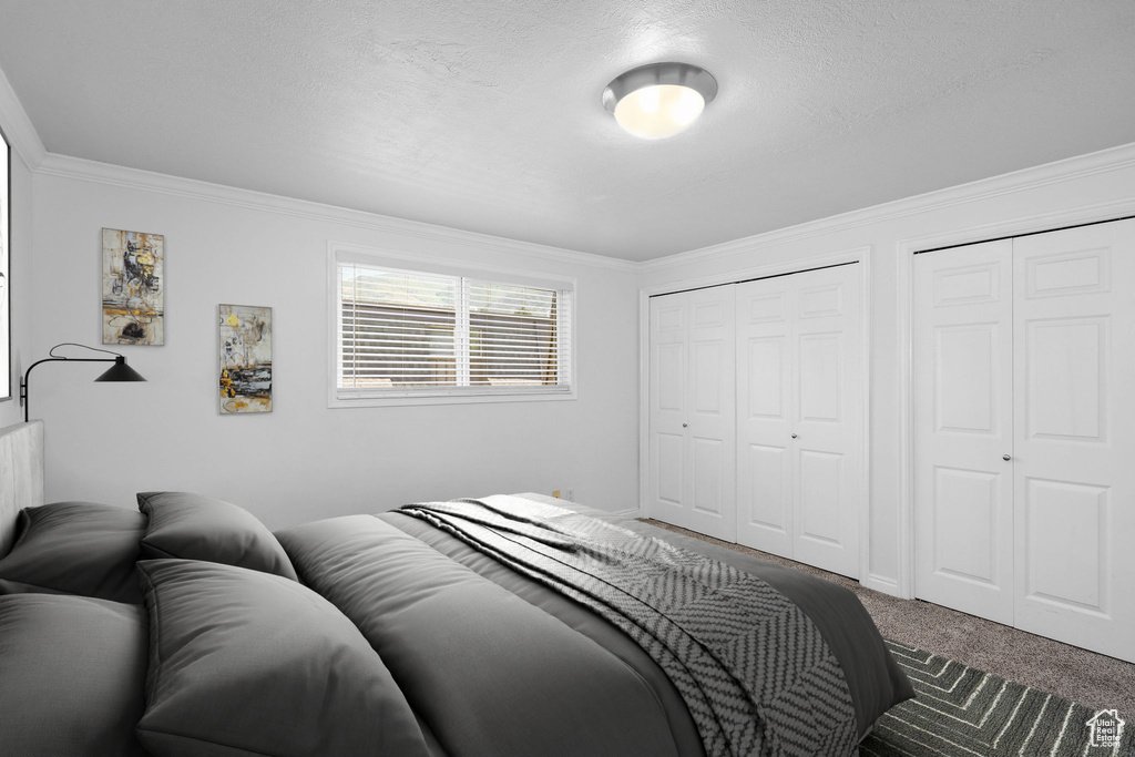 Carpeted bedroom featuring ornamental molding, two closets, and a textured ceiling