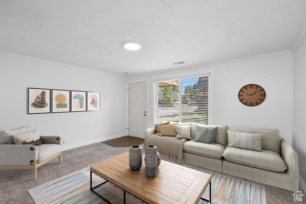 Living room featuring ornamental molding, baseboards, and carpet