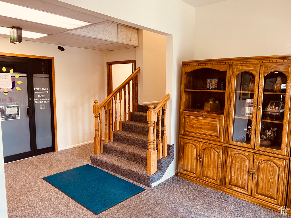 Stairway featuring carpet flooring