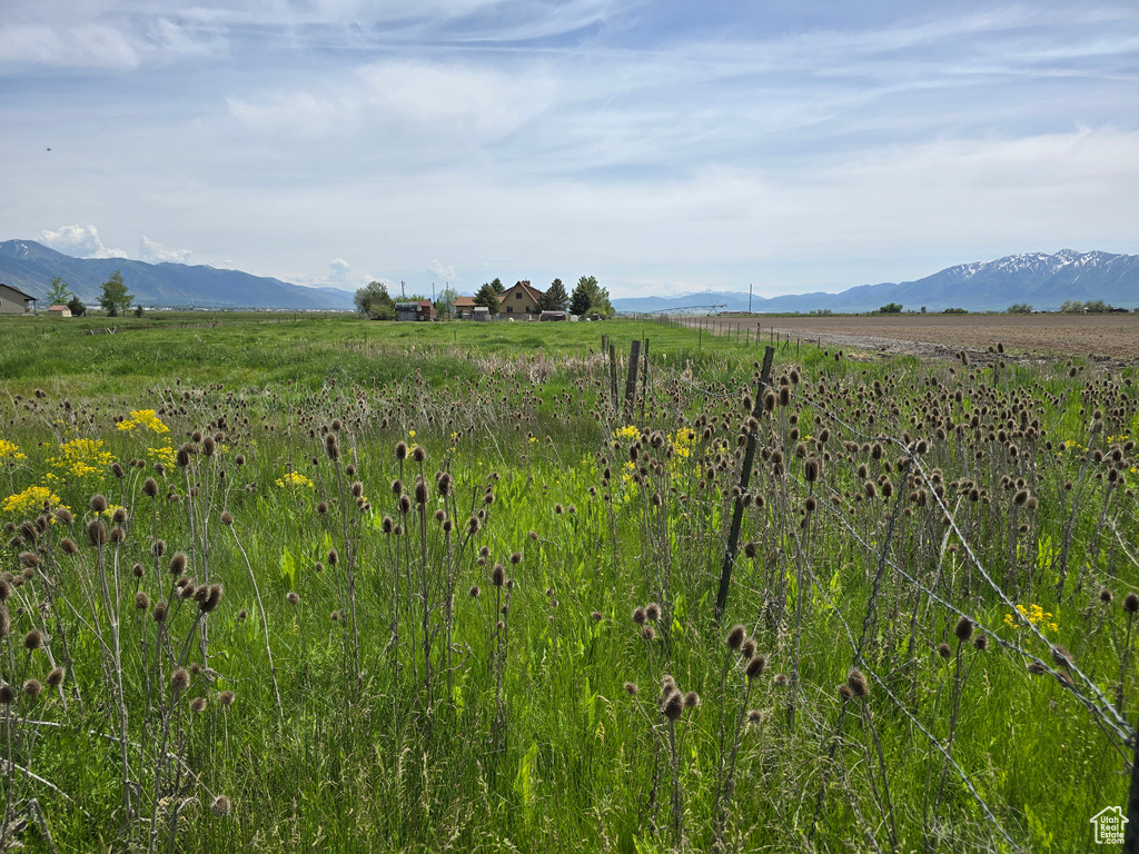 1777 W 4200 N Smithfield, UT 84335