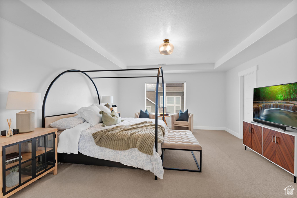 Bedroom with light colored carpet, a tray ceiling, and baseboards